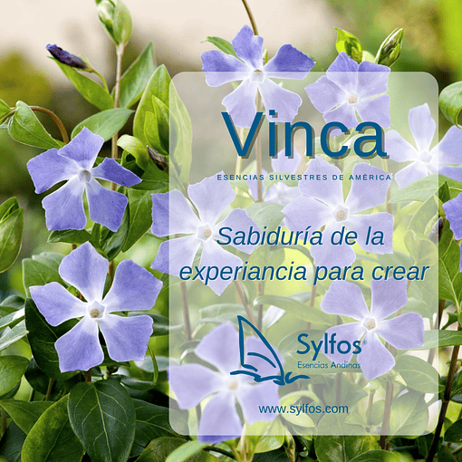 VINCA