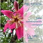 PALO BORRACHO (20) 2