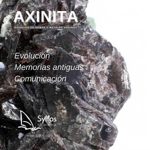AXINITA (5)