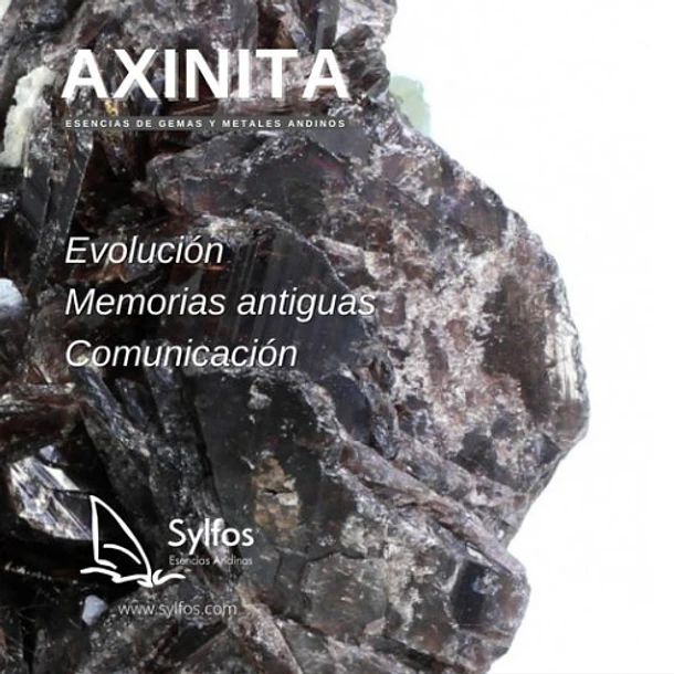 AXINITA (5) 1