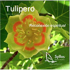 TULIPERO / Tulip Tree 1