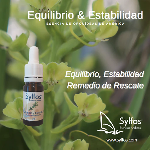 ​35 - ORQUÍDEA EQUILIBRIO & ESTABILIDAD