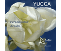 YUCCA