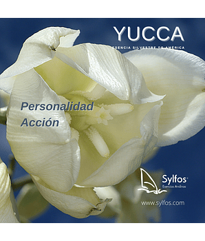 YUCCA