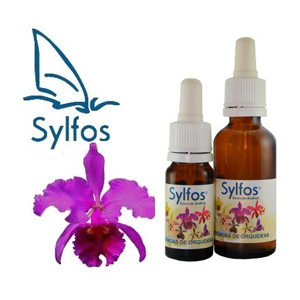 0​1 - ORQUÍDEA ABUNDANCIA