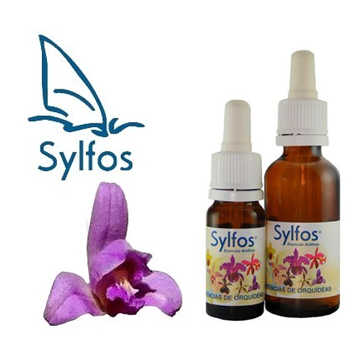 06- ORQUIDEA DE LA ARMONIA