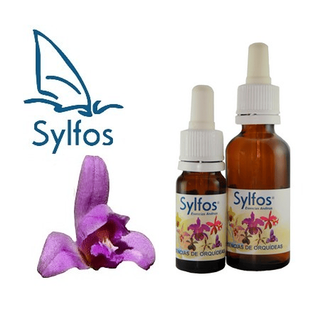 06- ORQUIDEA DE LA ARMONIA