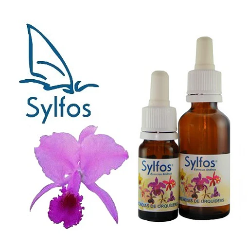 ​25 - ORQUÍDEA DE LA INSPIRACIÓN