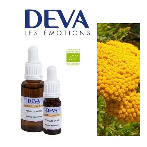 AQUILEA AMARILLA / Golden Yarrow
