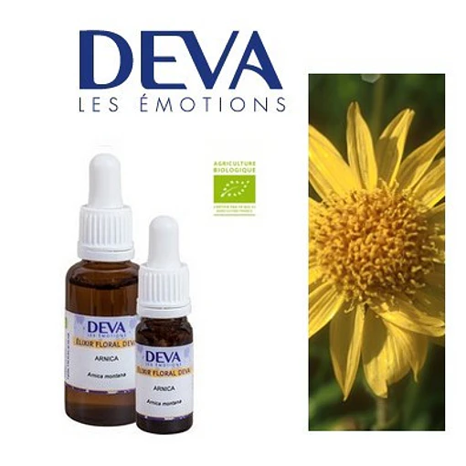 ARNICA / Arnica