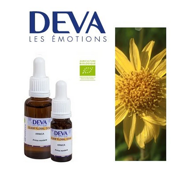ARNICA / Arnica