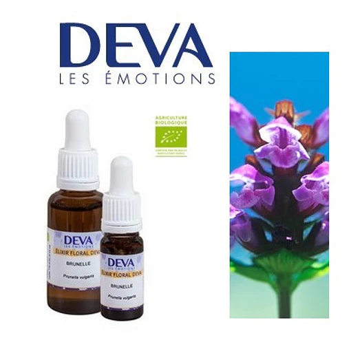 CONSUELDA MENOR / Self-Heal