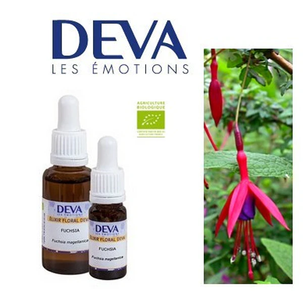 ​FUCSIA / Fuchsia 2