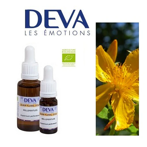 ​HIPERICO / Saint John’s Wort