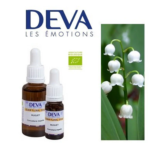 MUGUETE / Lily of the Valley