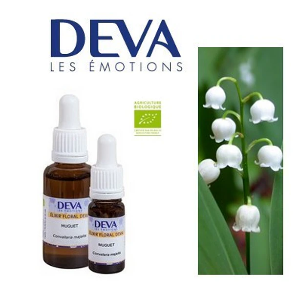MUGUETE / Lily of the Valley