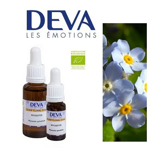 ​NO ME OLVIDES / Forget-me-Not