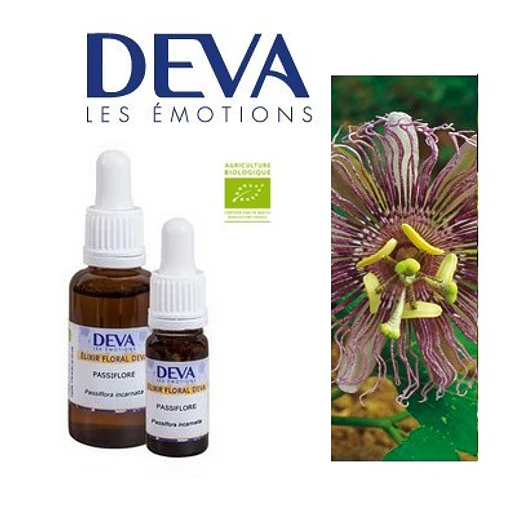 PASIFLORA / Passionflower