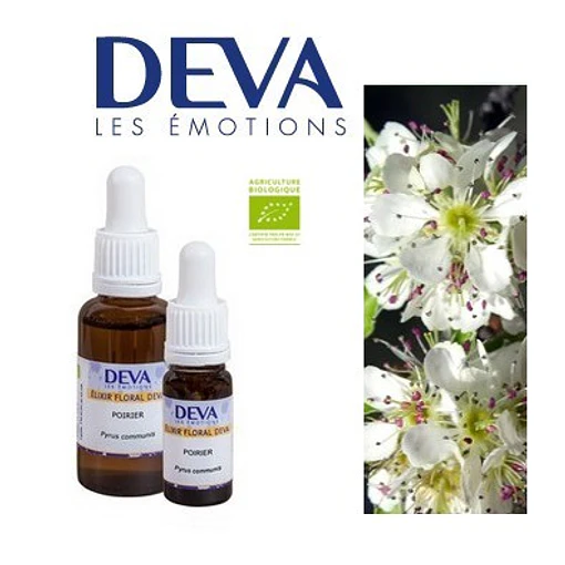 ​PERAL / Pear Tree