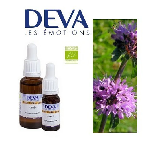 POLEO / Pennyroyal