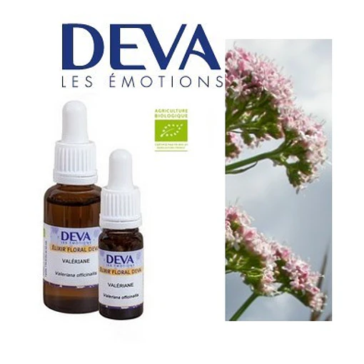 VALERIANA / Valerian