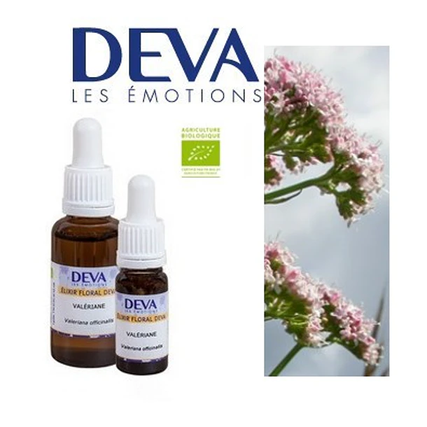 VALERIANA / Valerian