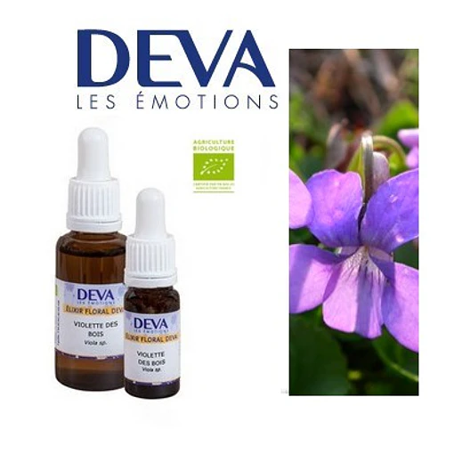 VIOLETA DEL BOSQUE / Wood Violet
