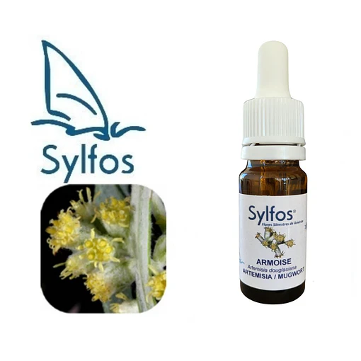 ARTEMISIA/ Mugwort