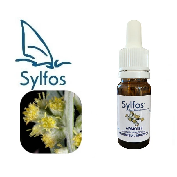 ARTEMISIA/ Mugwort