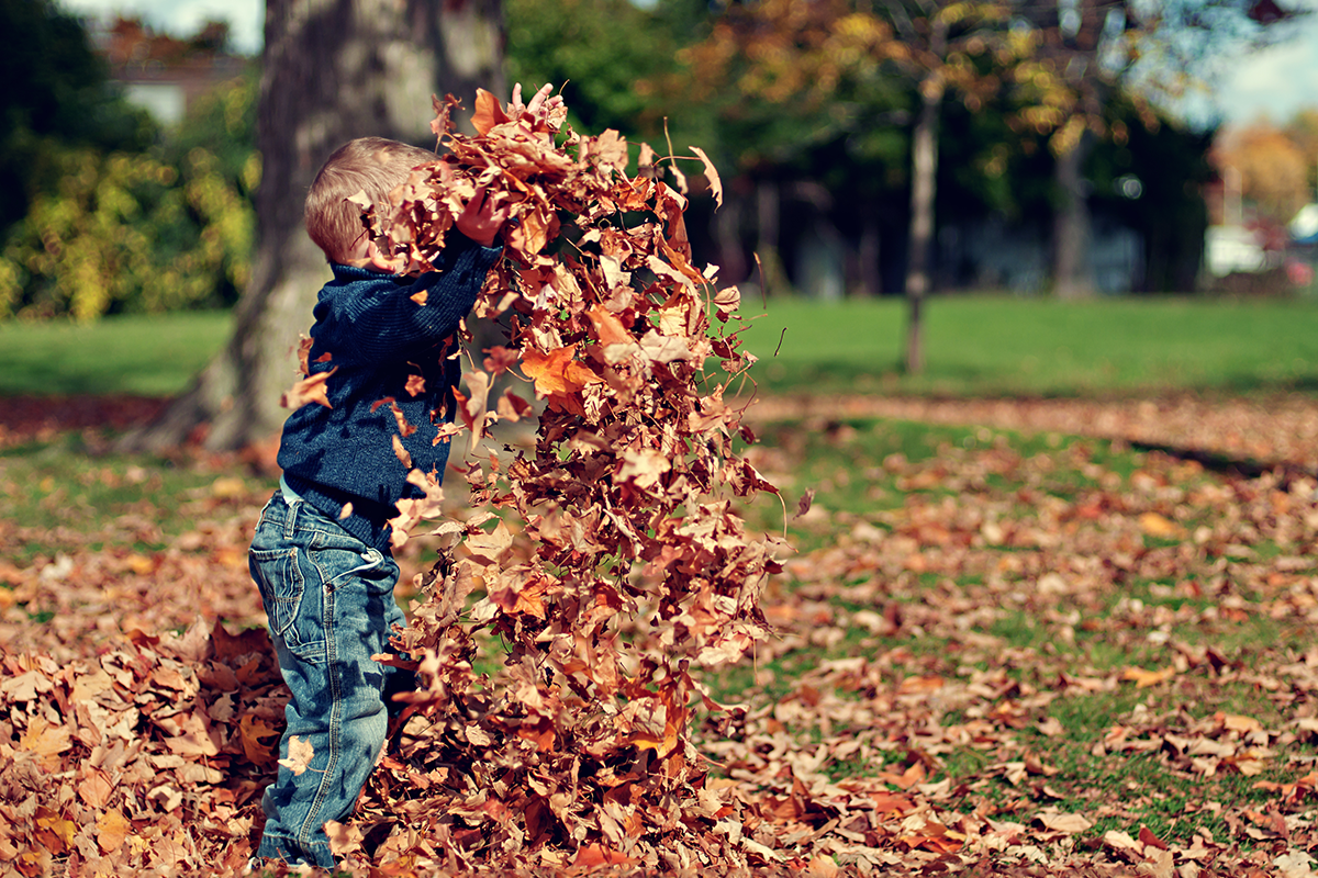 Hiperactividad infantil: hacia un tratamiento natural