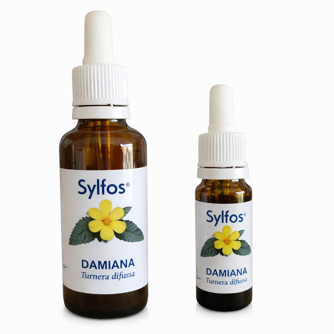 DAMIANA 1