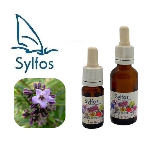 YERBA SANTA 