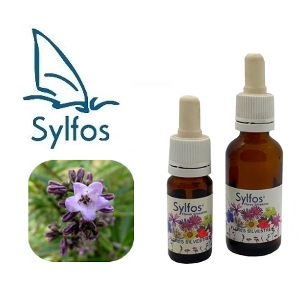 YERBA SANTA 