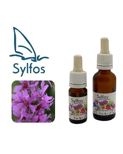 SALICARIA / Loosestrife