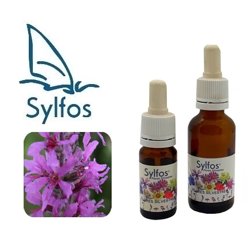 SALICARIA / Loosestrife