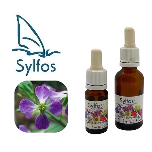RABANO SILVESTRE / Wild Radish 