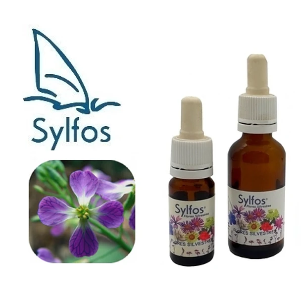 RABANO SILVESTRE / Wild Radish 