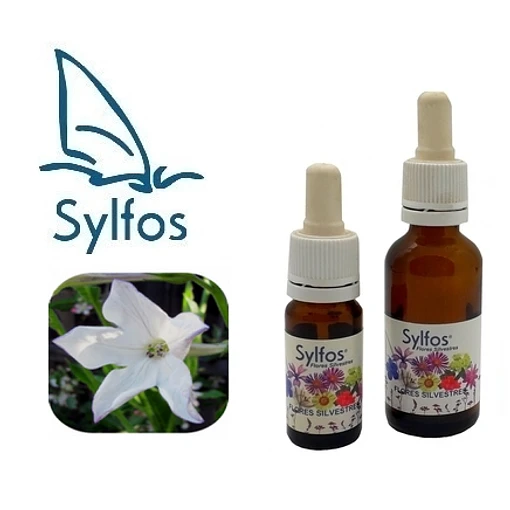 NICOTIANA