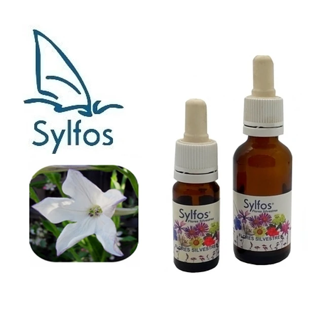 NICOTIANA