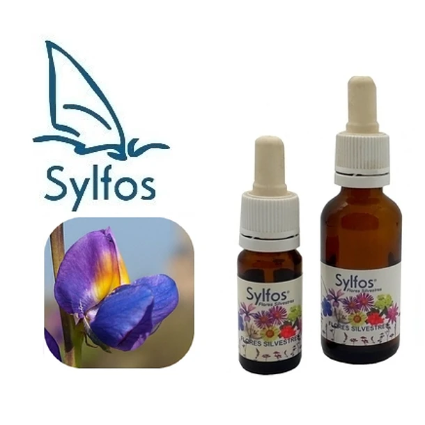 TARWI - LUPINO / Lupine 2