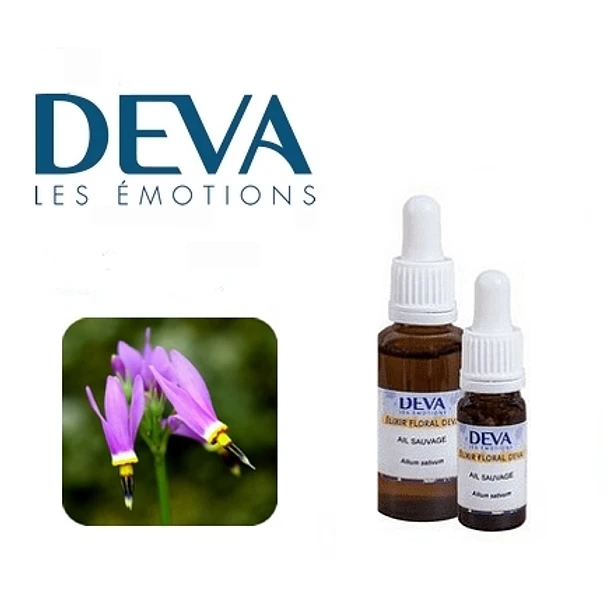 ESTRELLA FUGAZ / Shooting Star