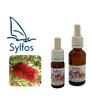 CEPILLO de BOTELLA / Bottlebrush