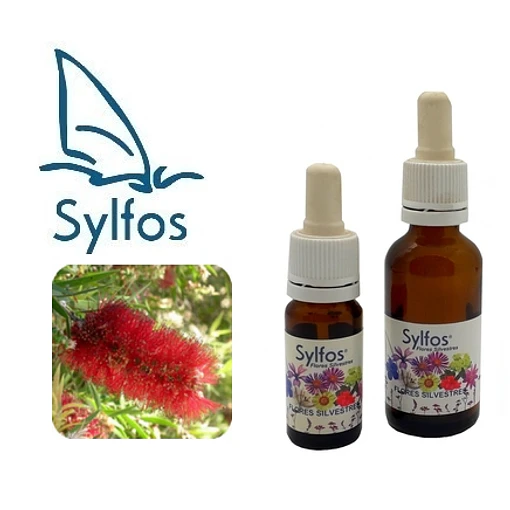 CEPILLO de BOTELLA / Bottlebrush