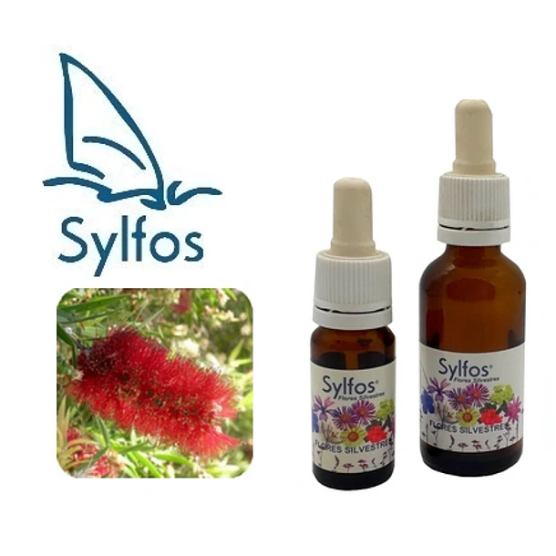 CEPILLO de BOTELLA / Bottlebrush