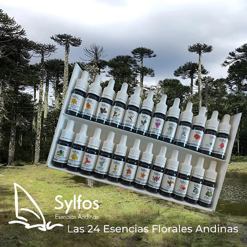 Esencias Florales Andinas - Set De 24x10 Ml.