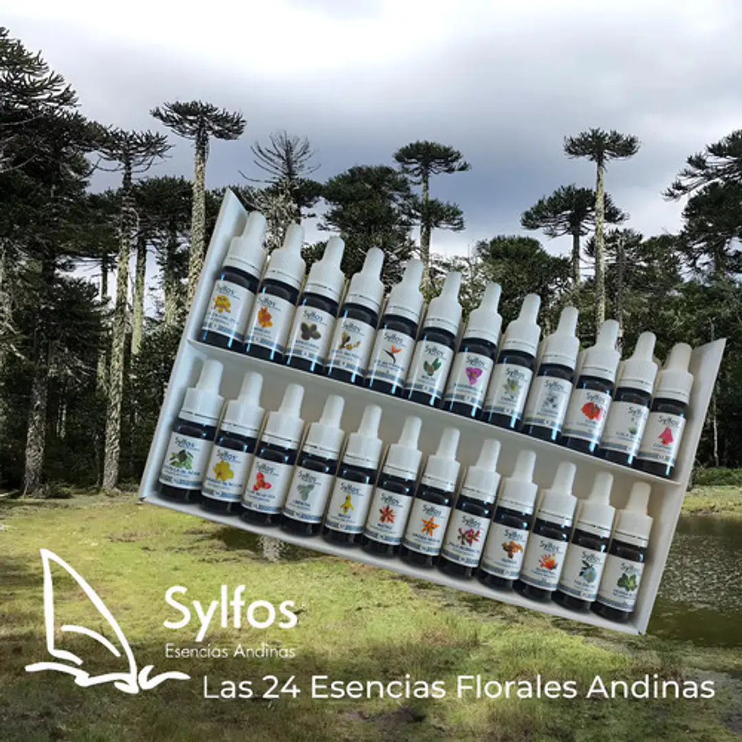 Esencias Florales Andinas - Set De 24x10 Ml. 1
