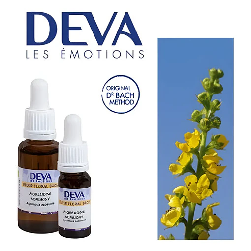Agrimony - 10 Ml.