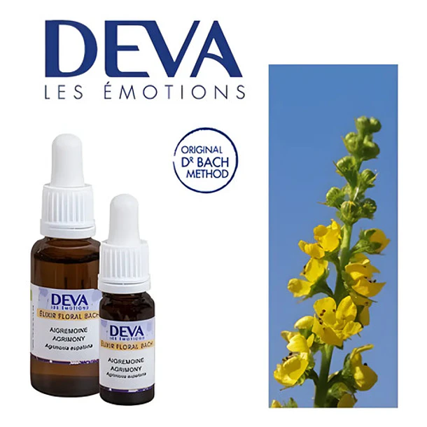 Agrimony - 10 Ml.