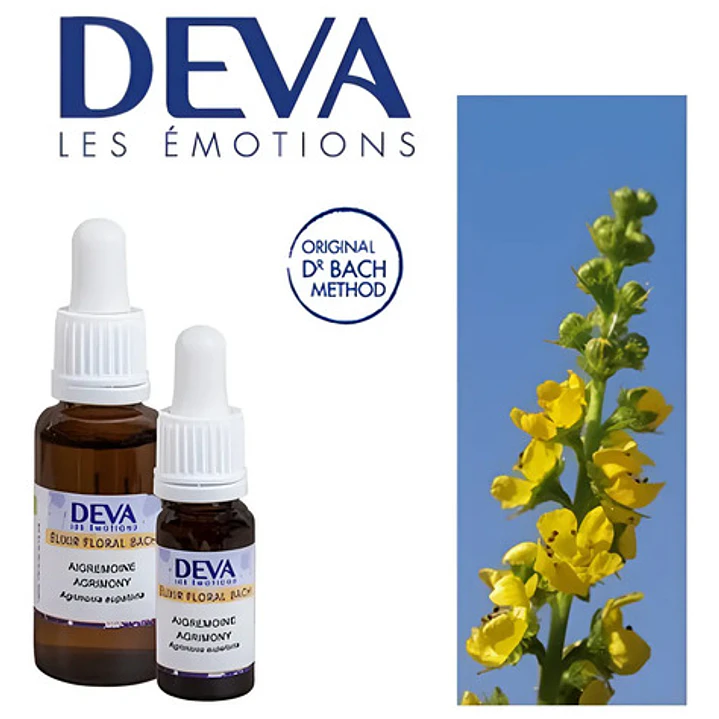 Agrimony - 10 Ml. 1