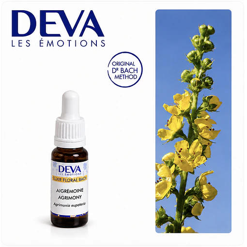 AGRIMONY / Agrimonia (1)
